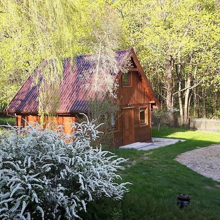 Bakusiowy Zakatek Apartamento Lipowo Kurkowskie Exterior foto
